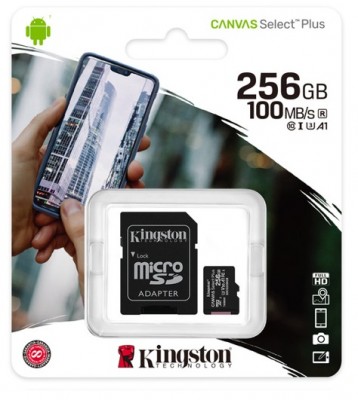 MICRO SD de 256 GB Kingston MEMKGN1910