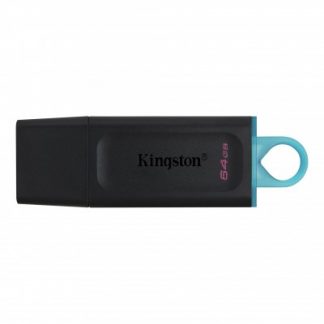 Memoria USB Kingston Technology DTX/64GB
