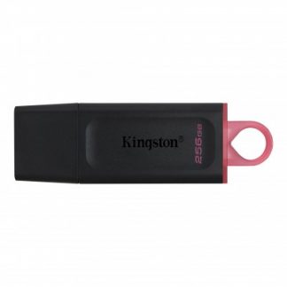 Memoria USB 256 GB Kingston Technology DTX/256GB