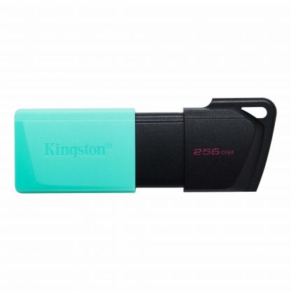 Memoria USB 256 GB Kingston Technology DTXM/256GB (Sobre pedido)